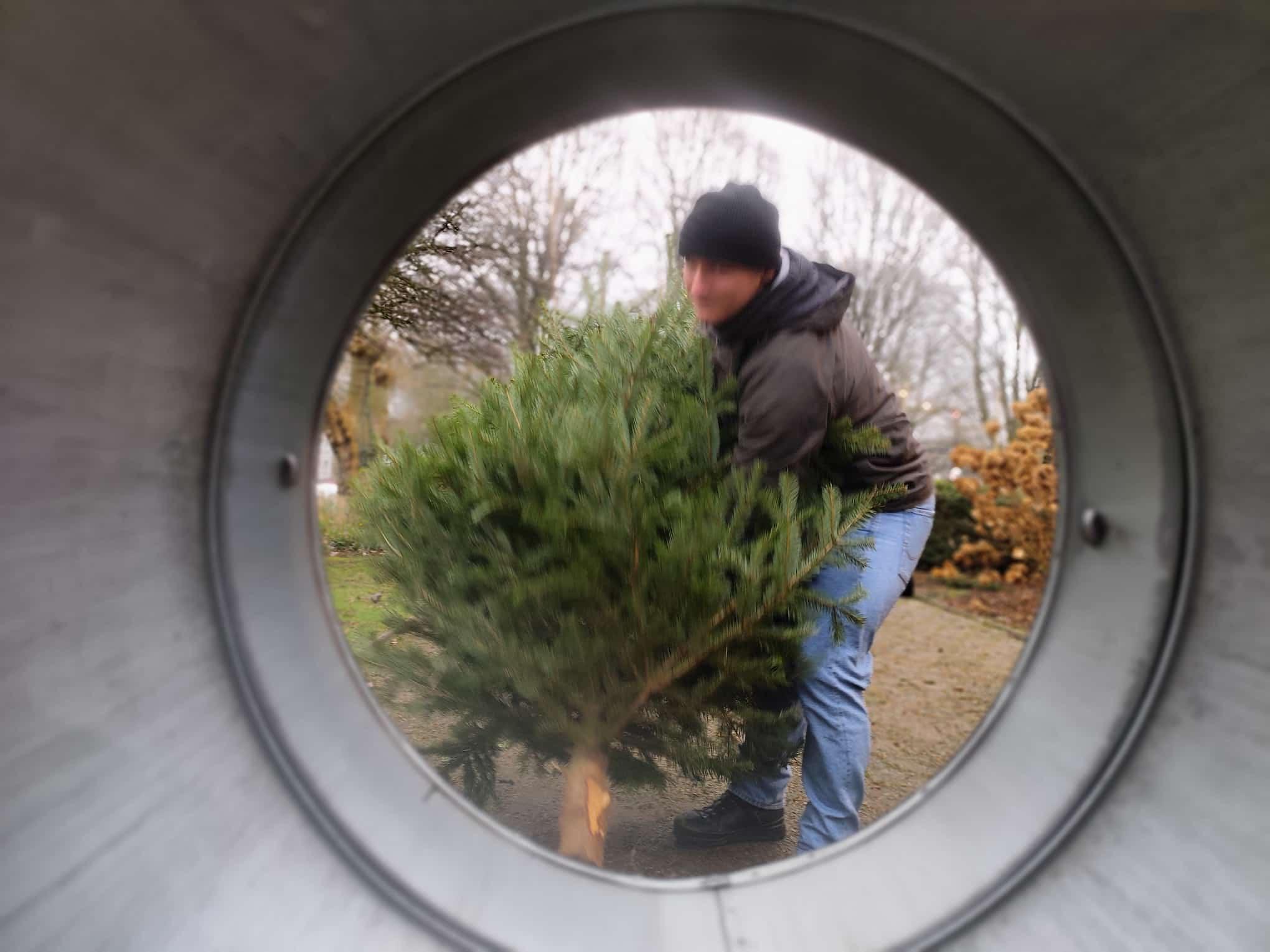 Organisation der Auslieferung